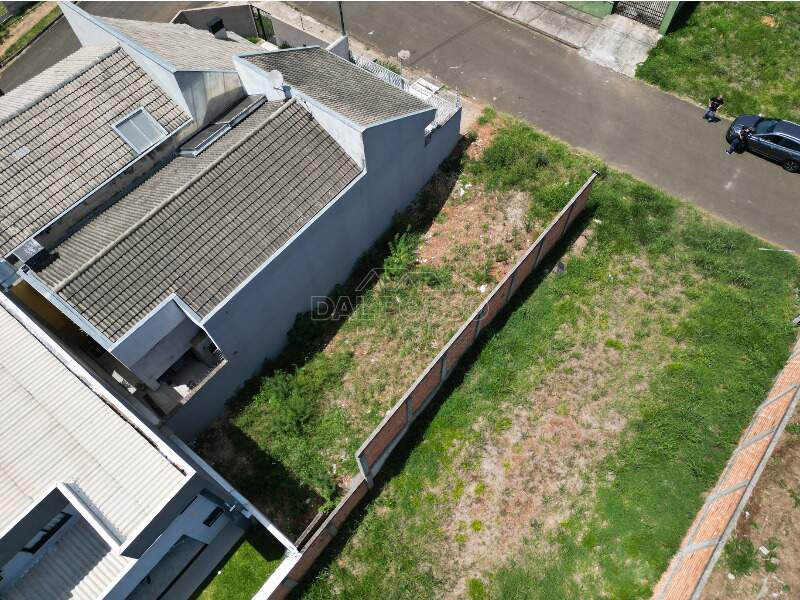 TERRENO à venda no ALTO DA XV: 