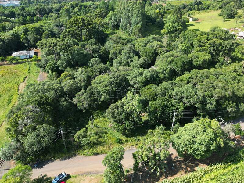 TERRENO à venda no Boqueirão: 