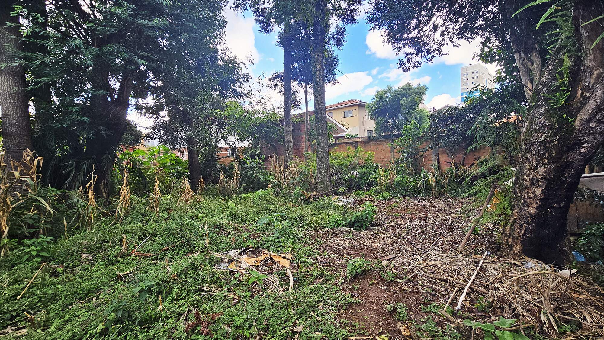CASA à venda no BATEL: 