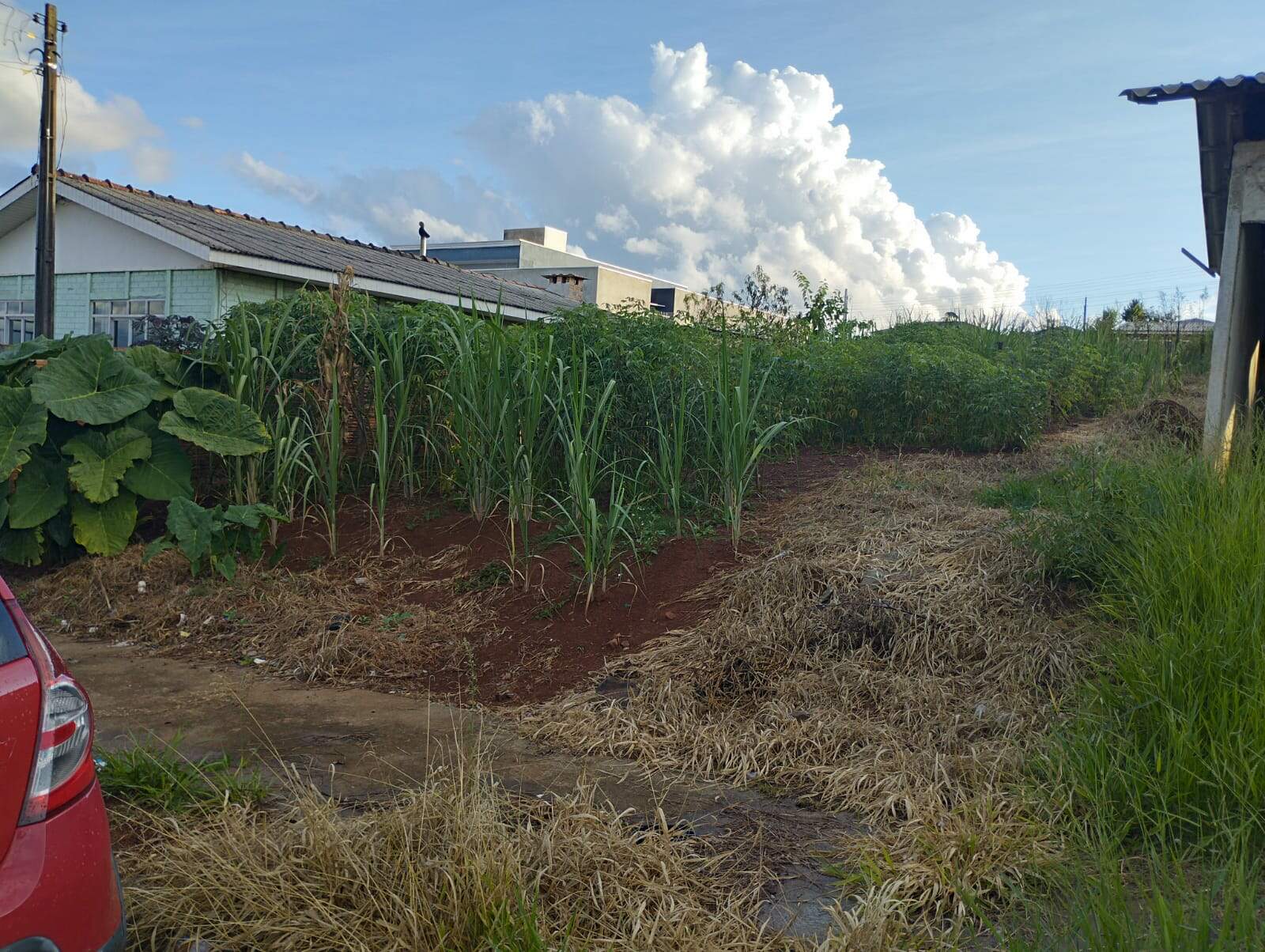 TERRENO à venda no ALDEIA: 