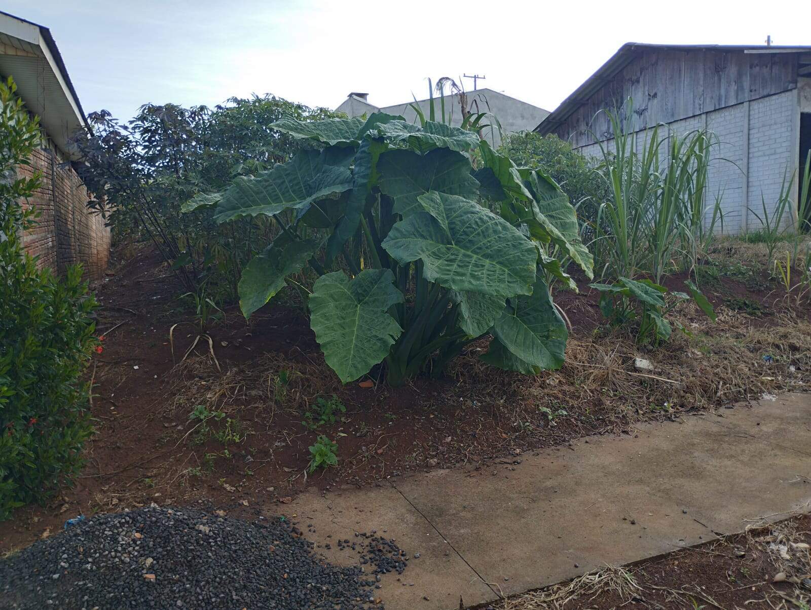 TERRENO à venda no ALDEIA: 