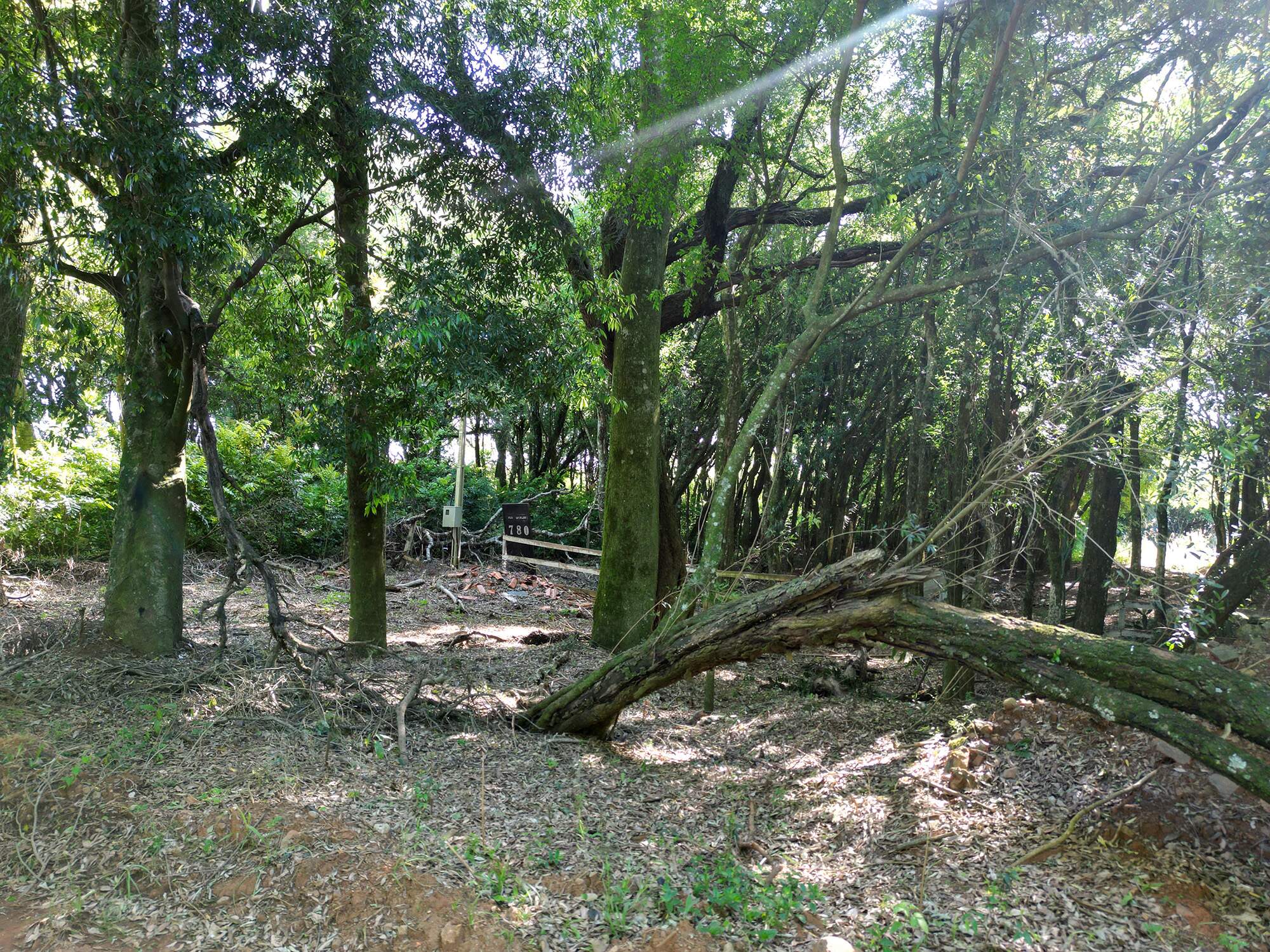 TERRENO à venda no JORDÃOZINHO: 