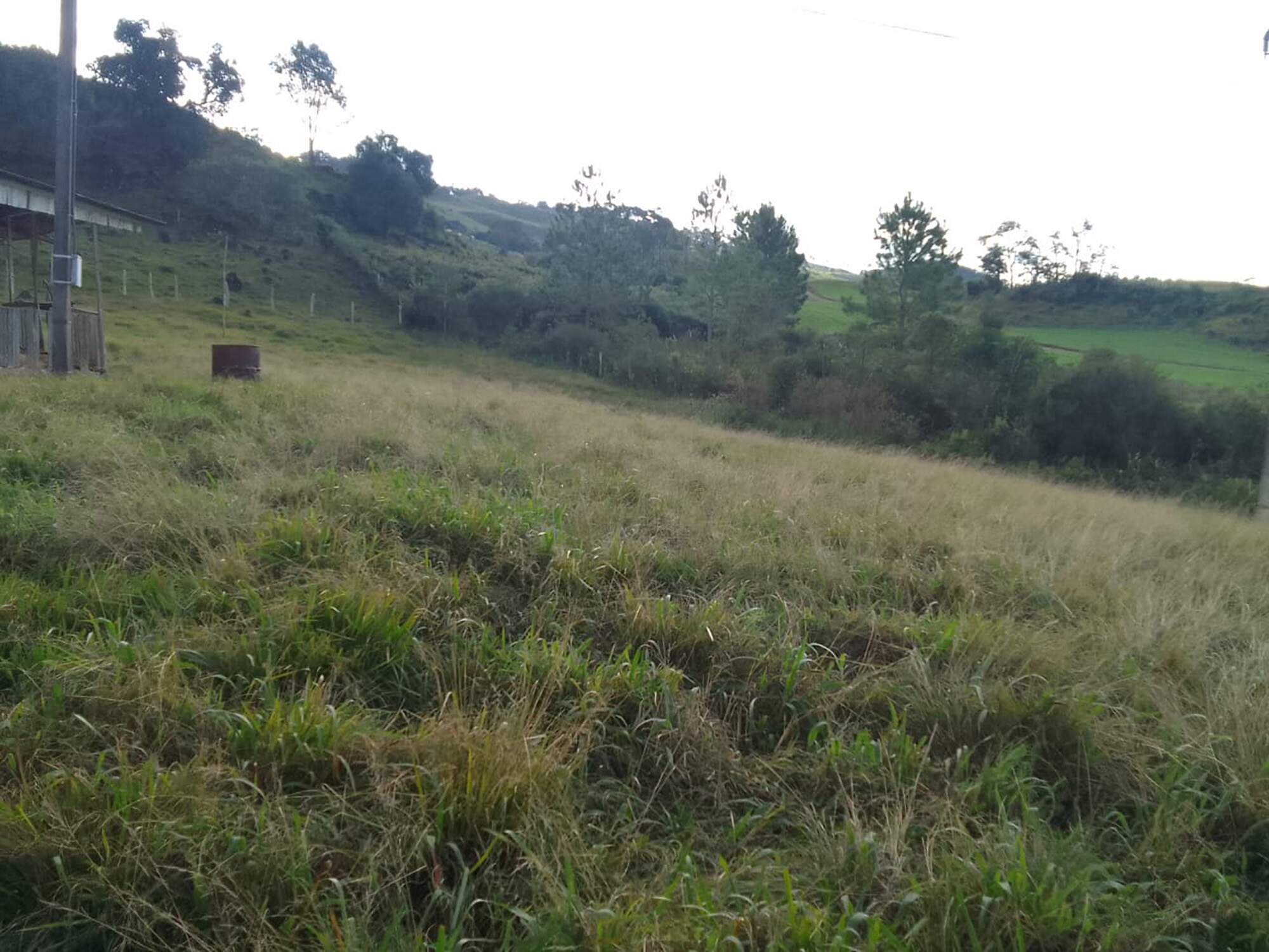 CHÁCARA à venda no JORDÃO: 