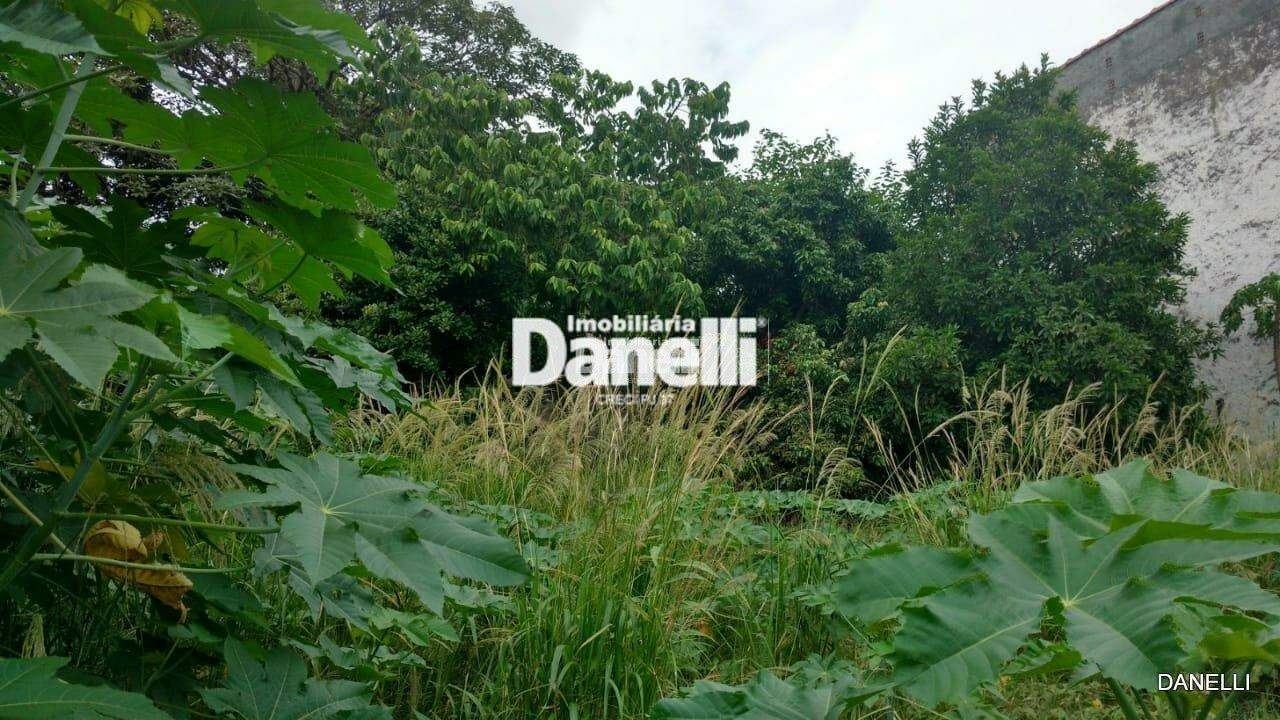 Lote para aluguel no Vila Nogueira: 