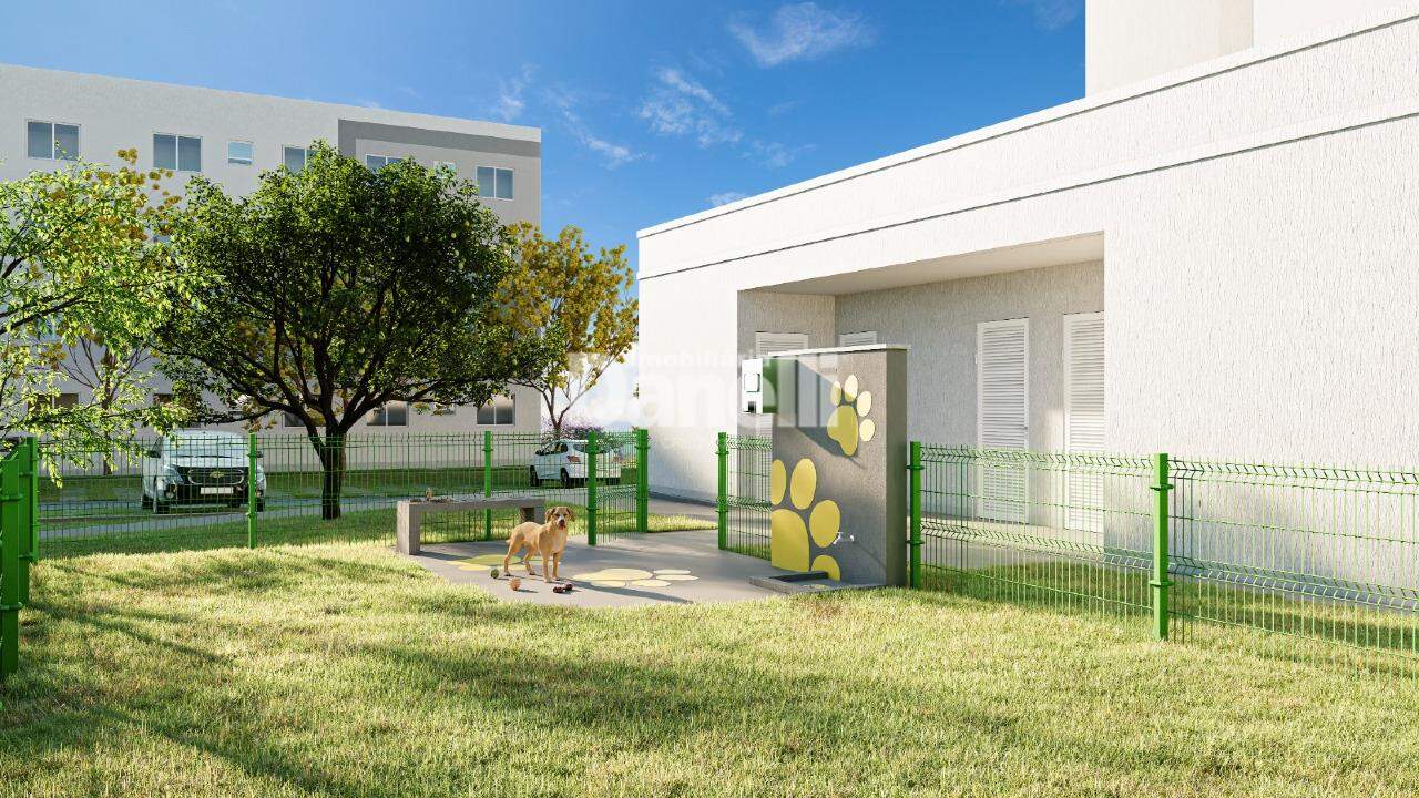 Apartamento à venda no Jardim Santa Tereza: 