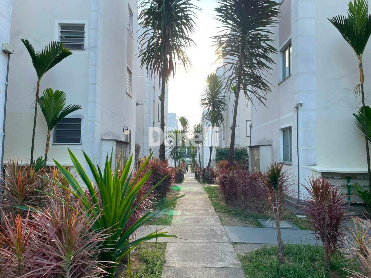 Apartamento para aluguel no Jardim Jaraguá: 