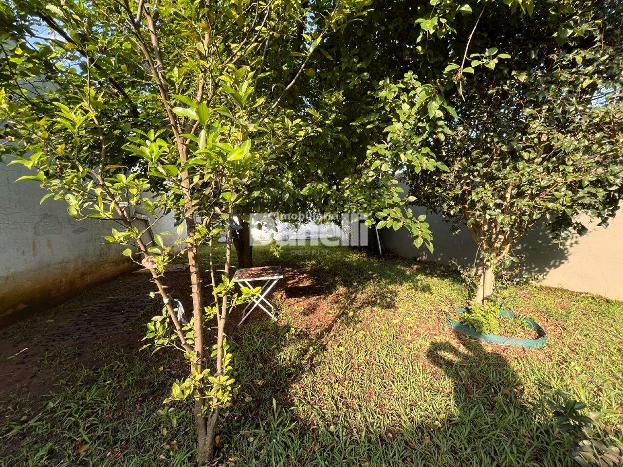 Casa em Condomínio à venda no Parque São Luís: Área Verde Frutífera