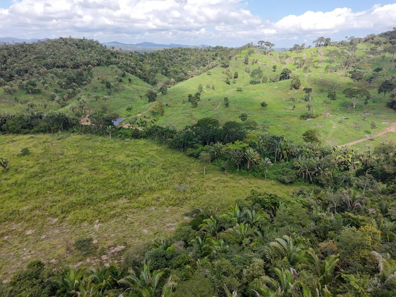 Fazenda à venda no Sao Geraldo Do Araguaia: 