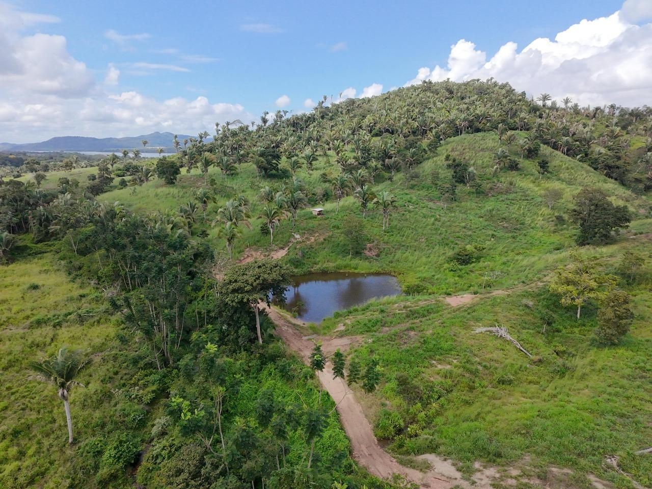 Fazenda à venda no Sao Geraldo Do Araguaia: 