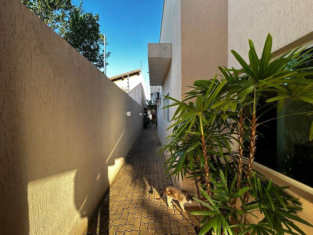 Casa à venda no Parque São Carlos: 