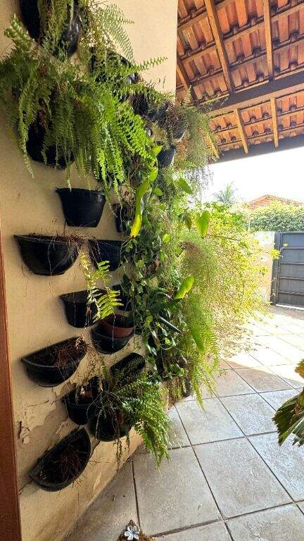 Casa para aluguel no Centro: 