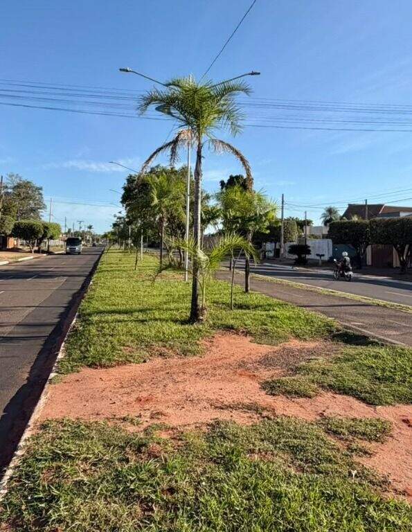 Casa para aluguel no Jardim Novo Aeroporto: 