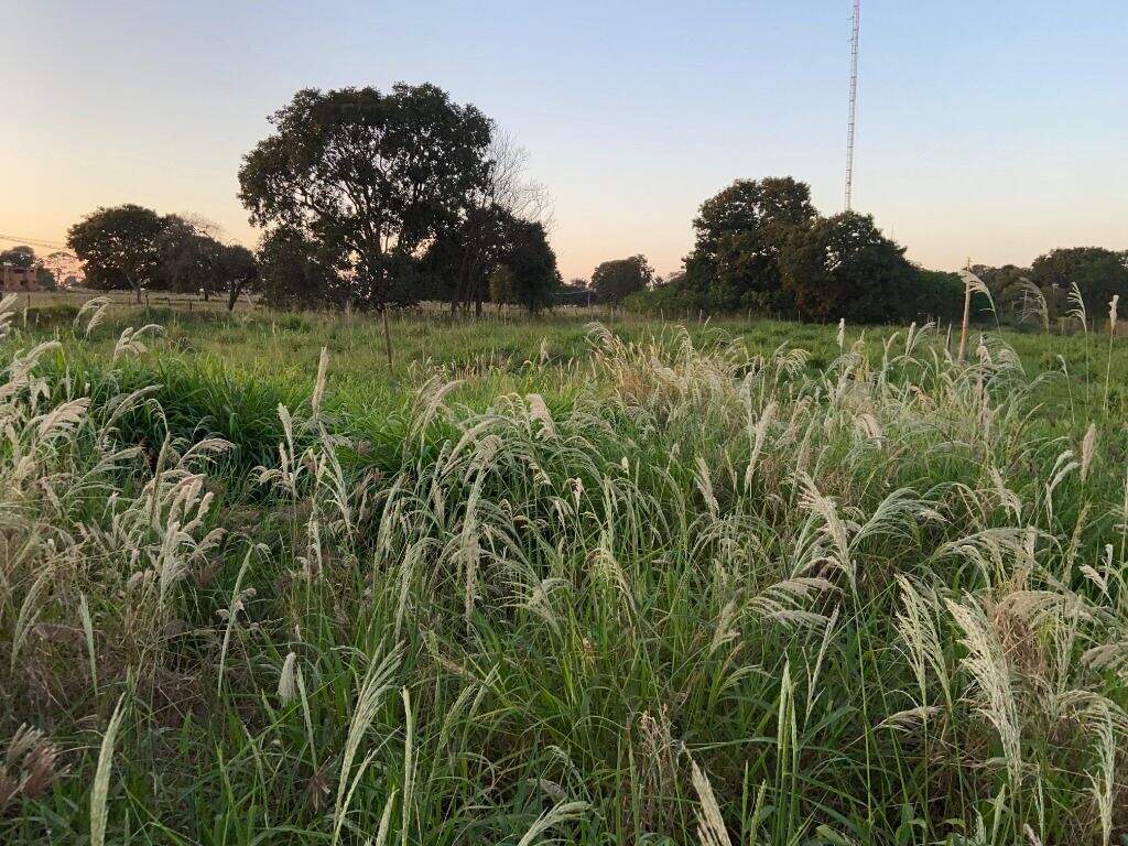 Chácara à venda no Santa Luzia: 