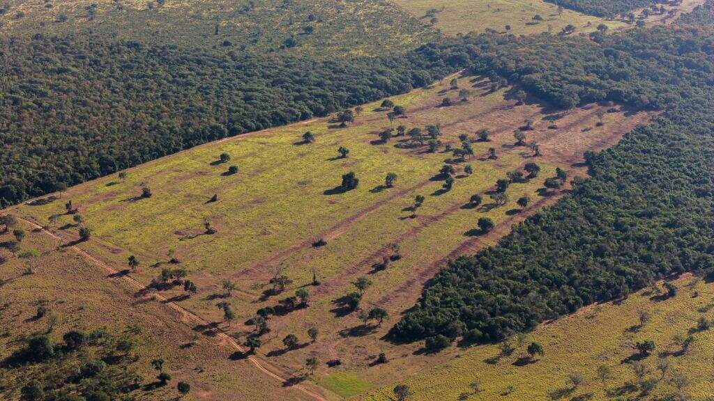Fazenda à venda no Sucuriú: 