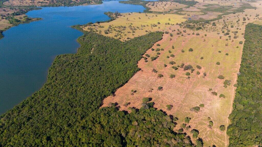 Fazenda à venda no Sucuriú: 