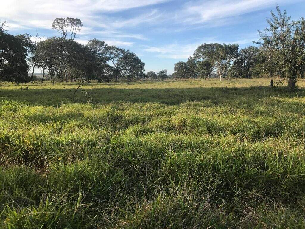 Fazenda à venda no Zona Rural: 