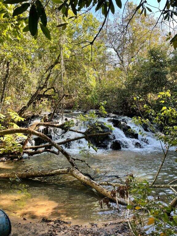 Fazenda à venda no Zona Rural: 