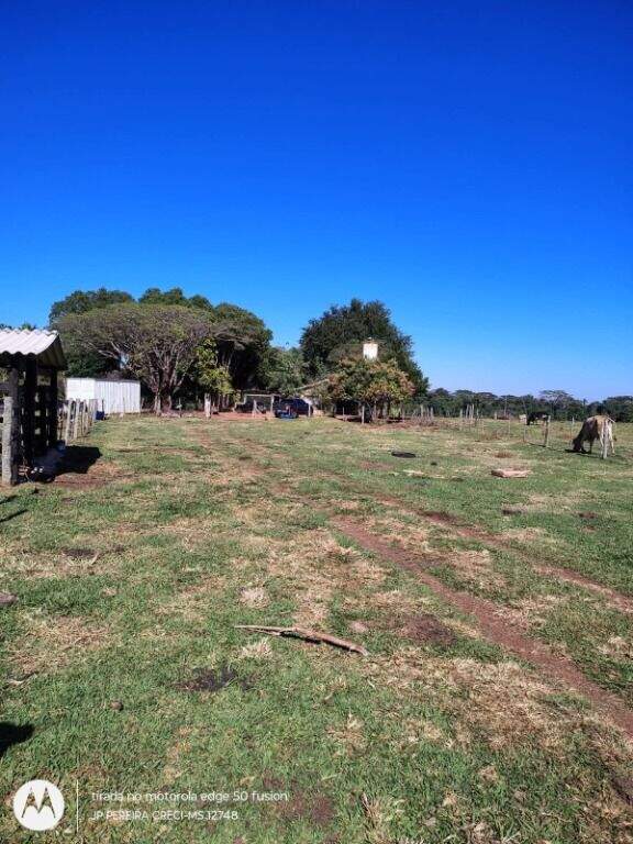 Rancho à venda no Jardim Angélica: 