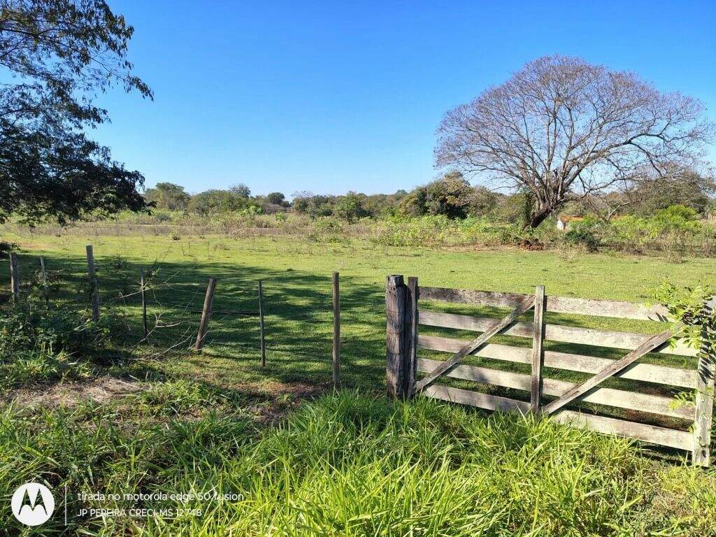 Rancho à venda no Jardim Angélica: 
