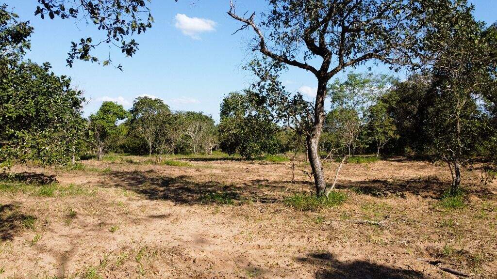 Rancho à venda no Três Lagoas: 