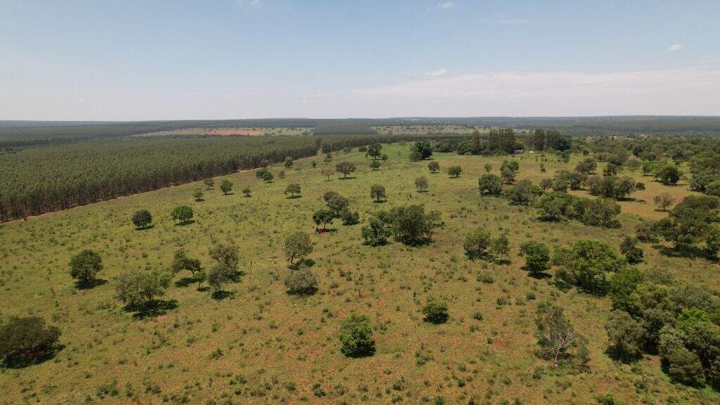 Área à venda no Vila Maria: 