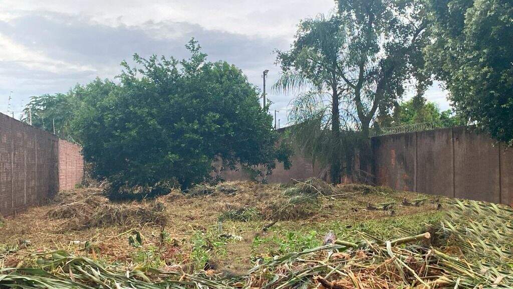 Terreno à venda no Jardim das Paineiras: 