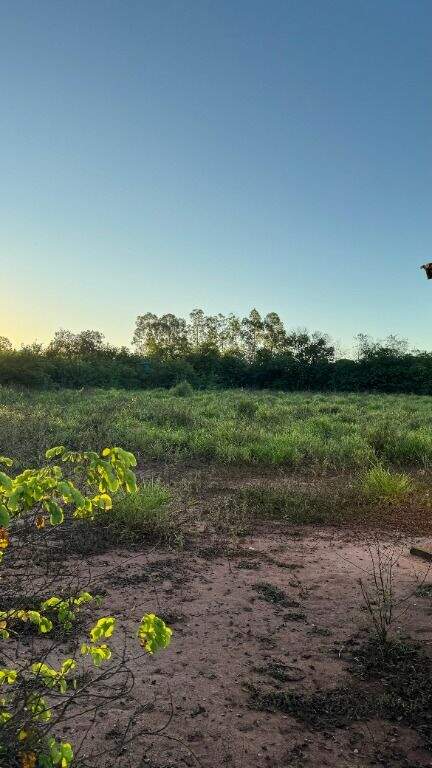 Terreno para aluguel no Chácara Imperial: 