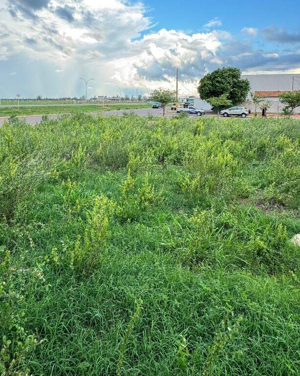 Terreno para aluguel no Jardim Paranapunga: 