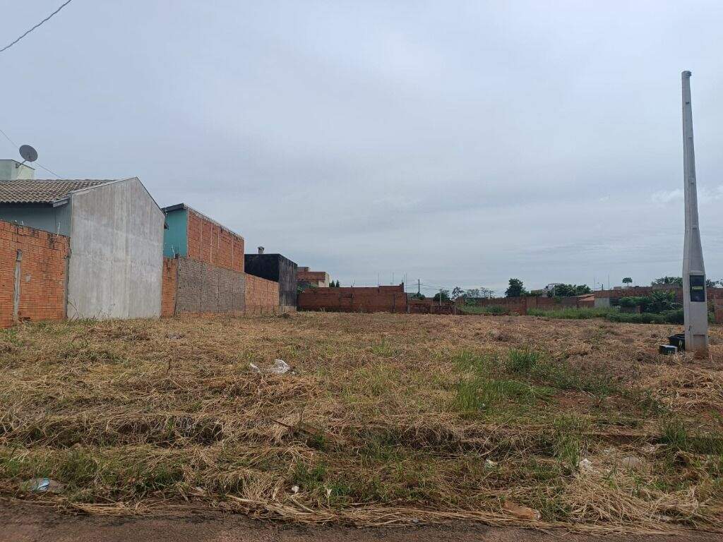 Terreno à venda no Ipê: 