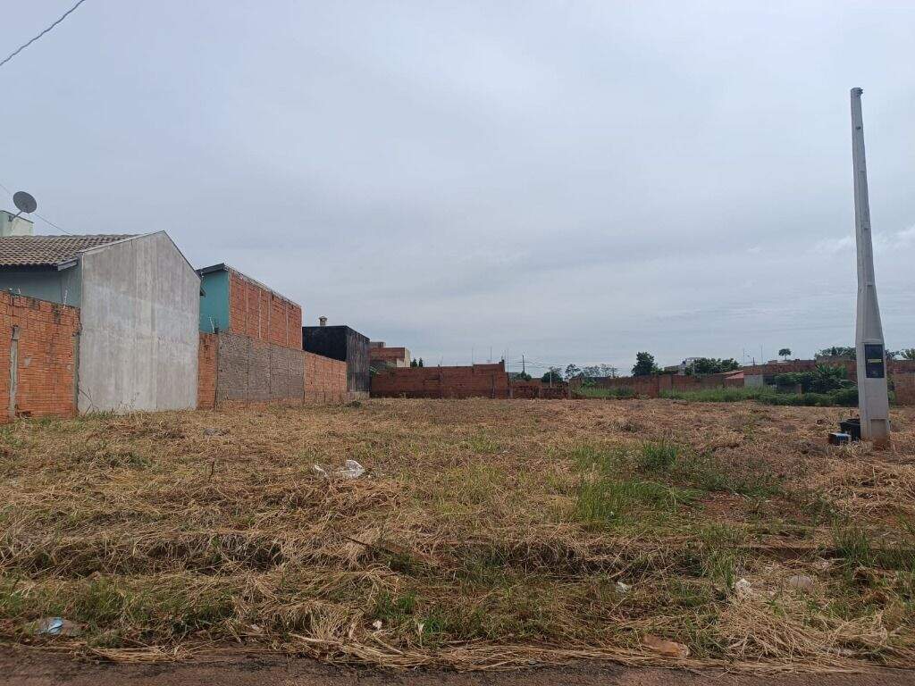 Terreno à venda no Ipê: 