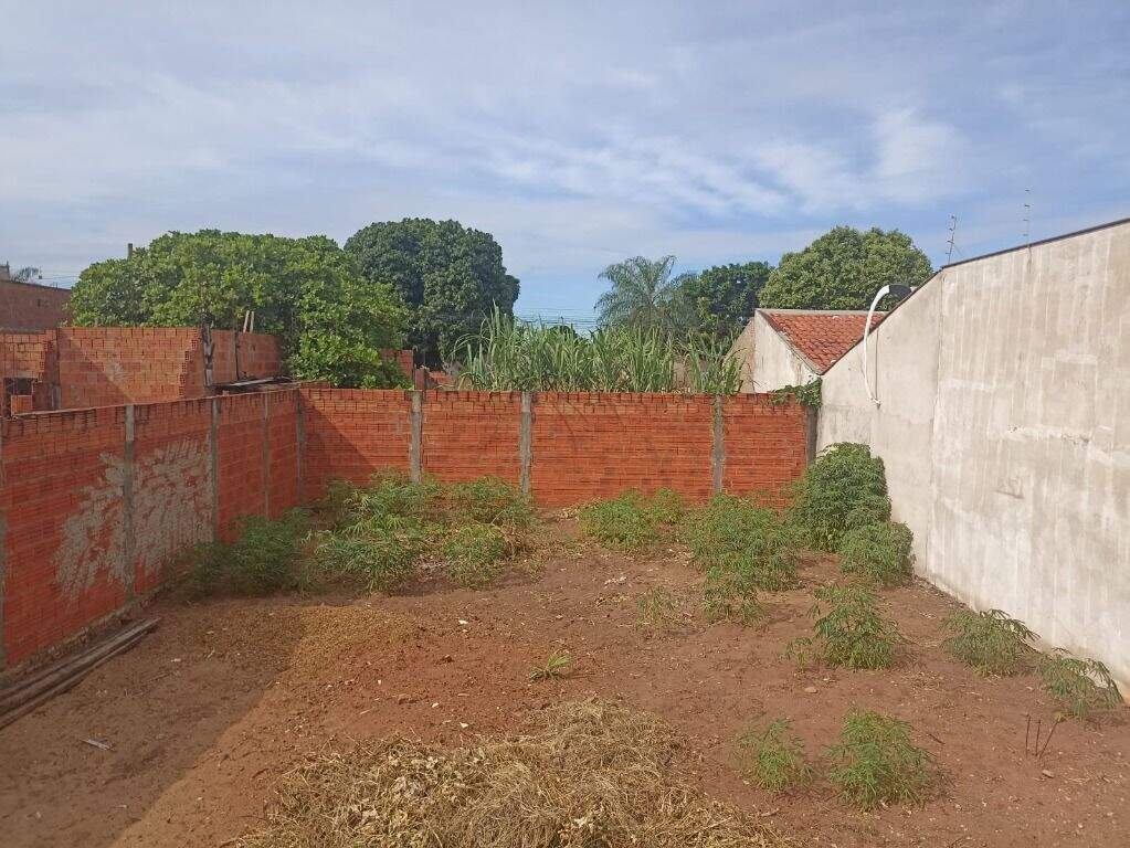 Terreno à venda no Vila São João: 