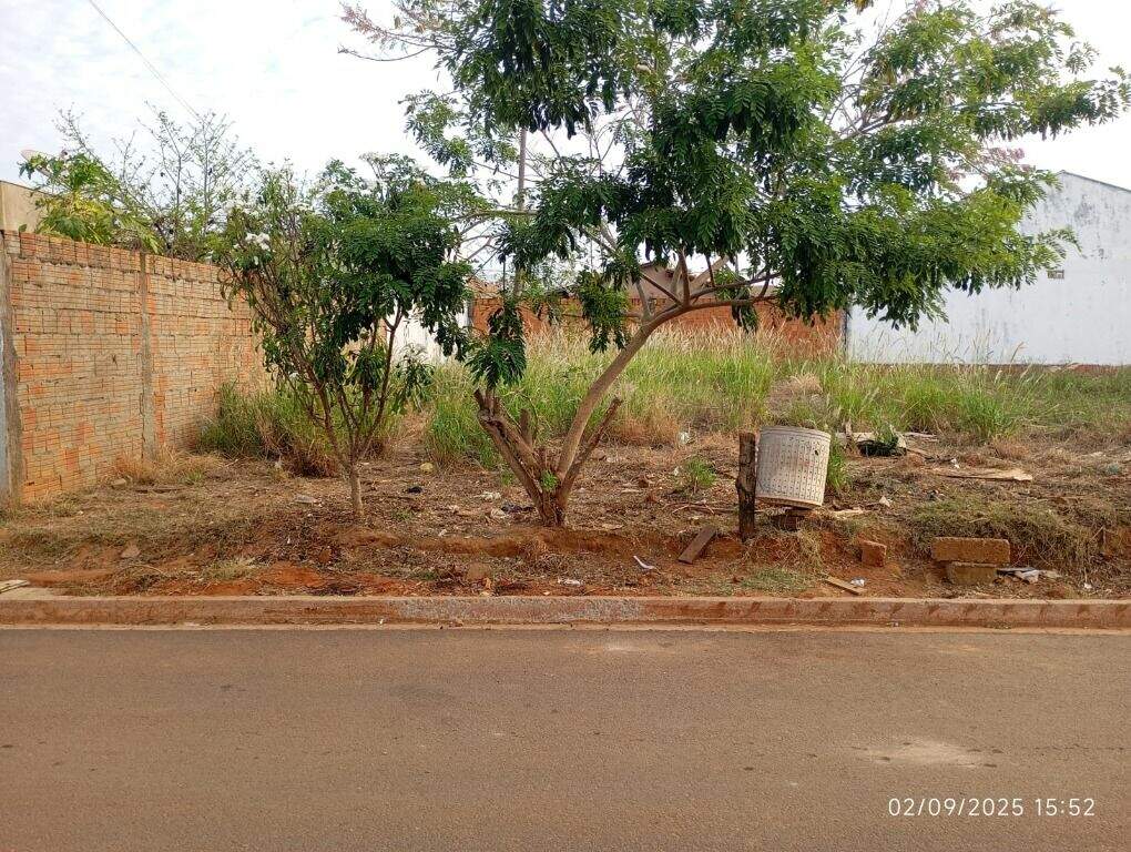 Terreno à venda no Jardim Samambaia II: 