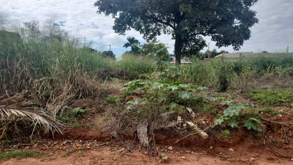 Terreno à venda no Residencial Portal do Lago: 
