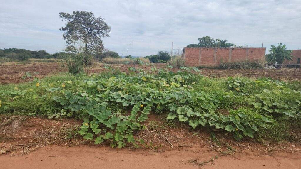 Terreno à venda no Residencial Portal do Lago: 