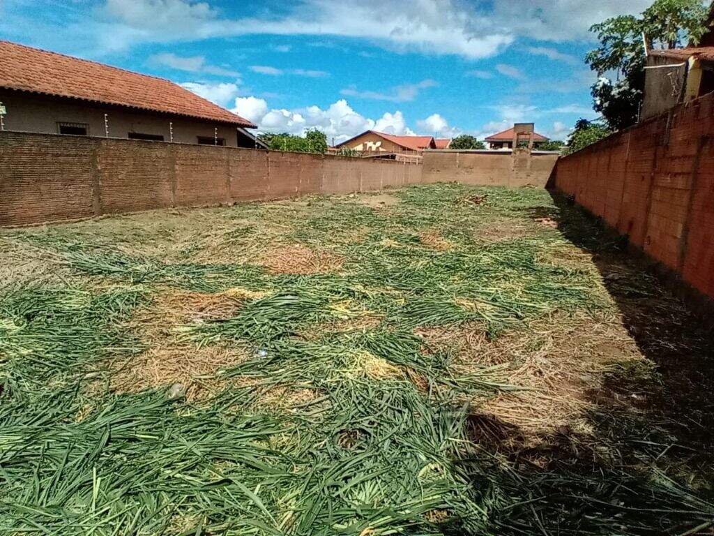 Terreno à venda no Santos Dumont: 