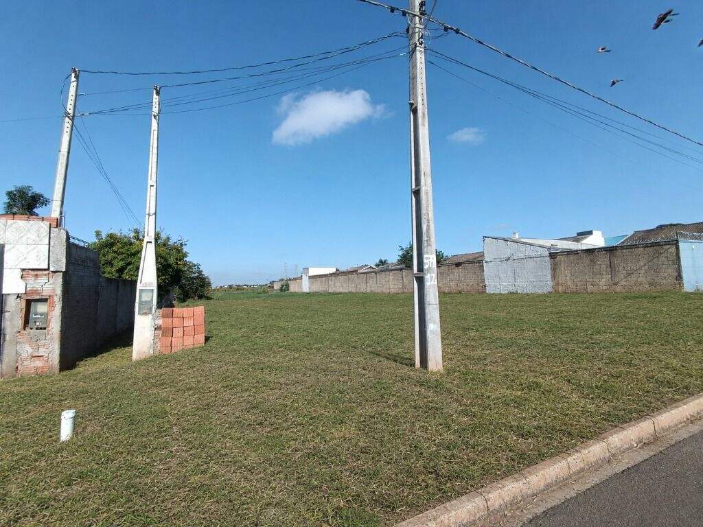 Terreno à venda no Ipê: 