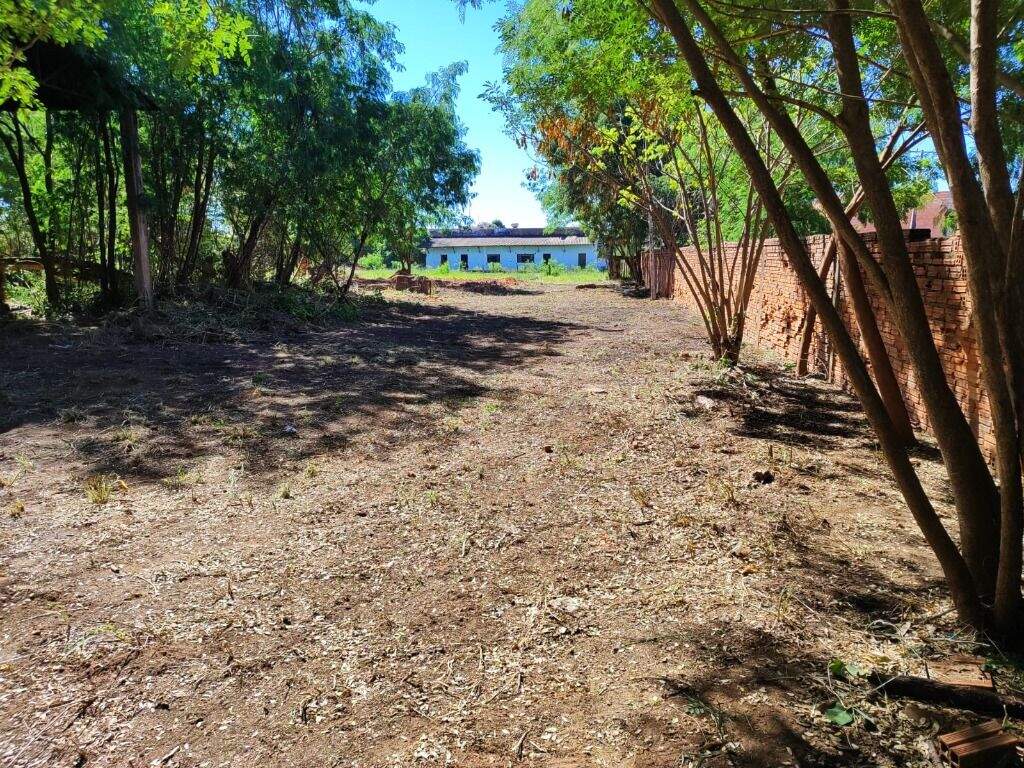 Terreno à venda no Santos Dumont: 