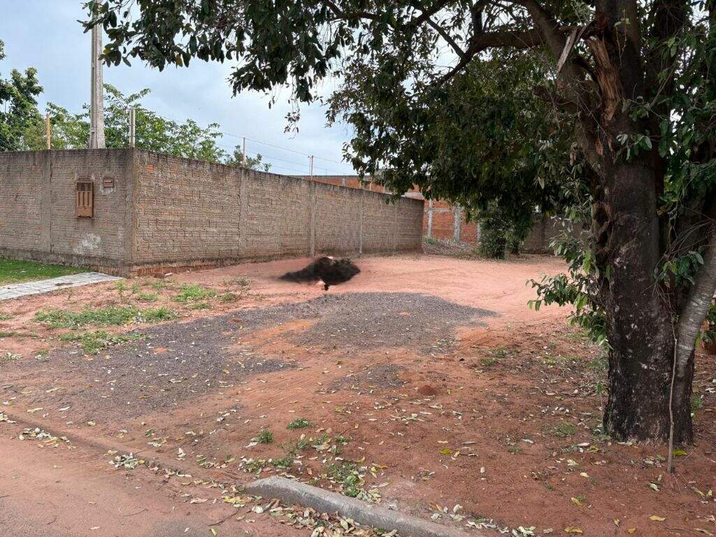 Terreno à venda no Jardim Cangalha: 