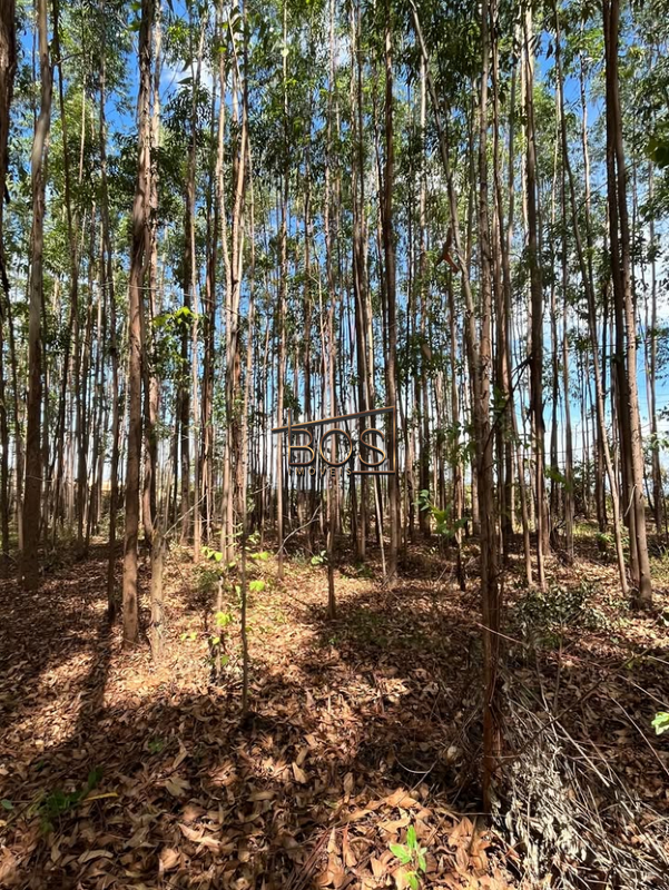 Terreno, 2 hectares - Foto 9