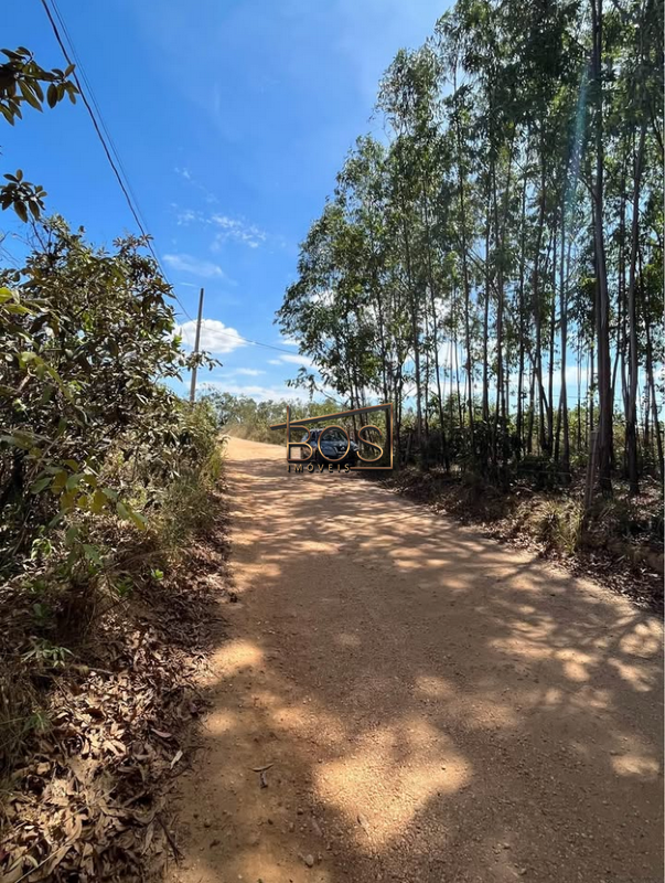 Terreno, 2 hectares - Foto 6