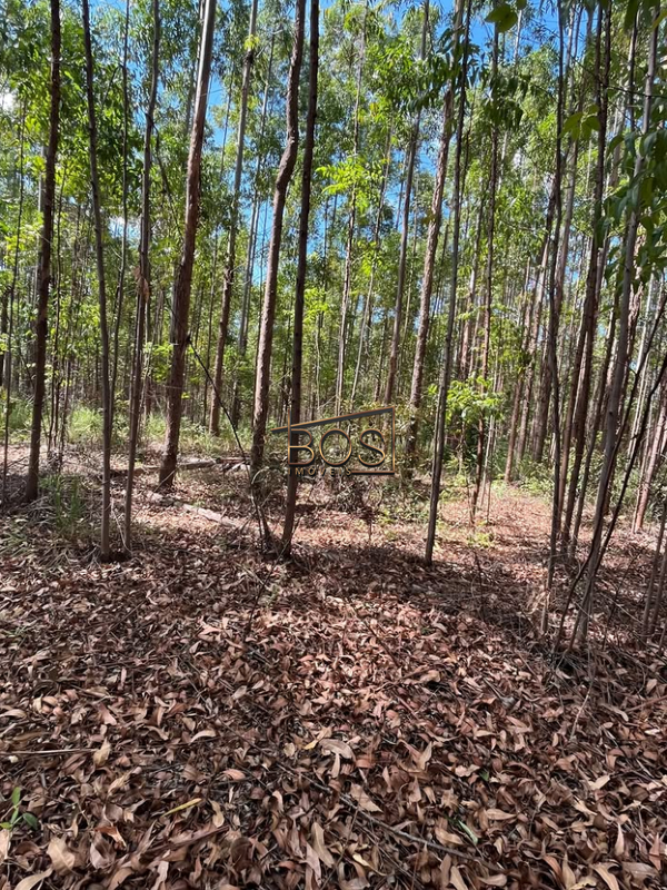 Terreno, 2 hectares - Foto 8