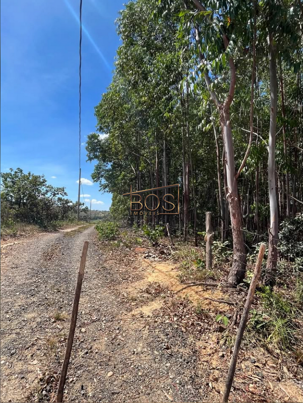 Terreno, 2 hectares - Foto 4