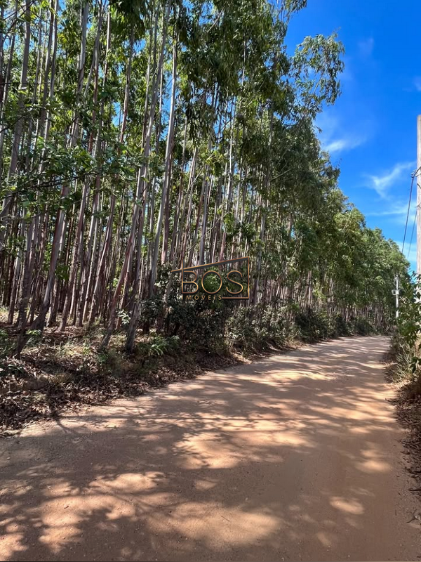 Terreno, 2 hectares - Foto 5