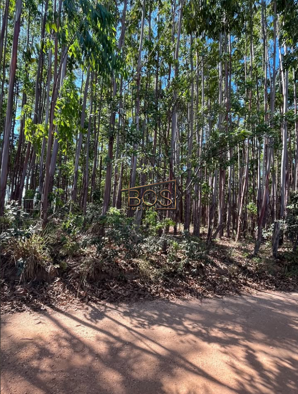 Terreno, 2 hectares - Foto 10