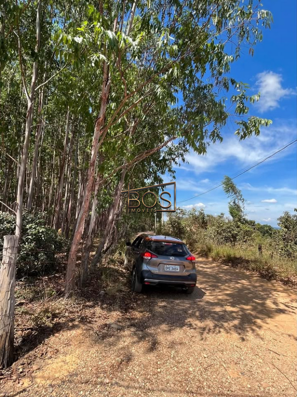 Terreno, 2 hectares - Foto 7