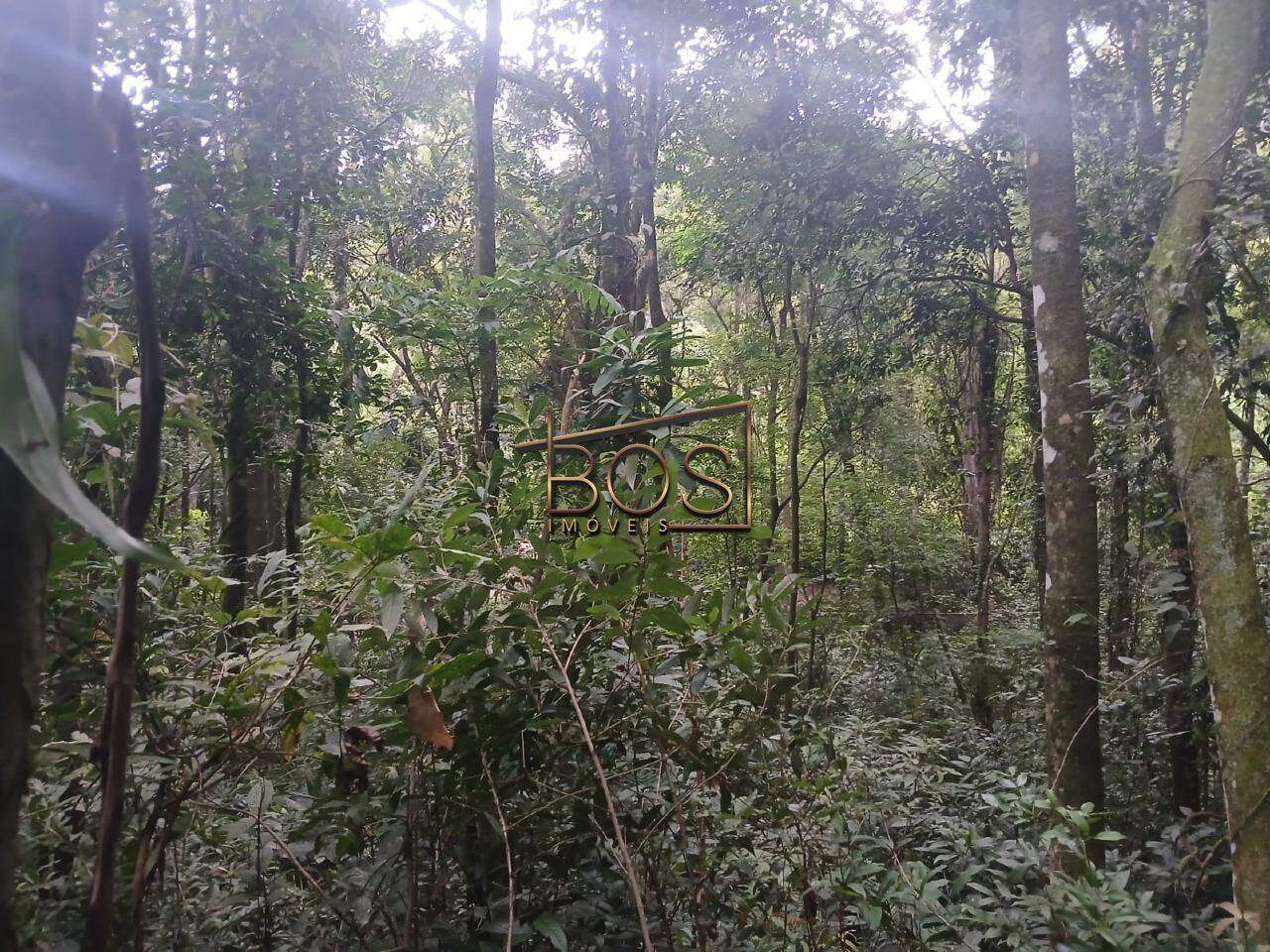 Terreno, 5070 m² - Foto 5