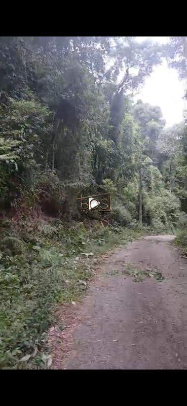 Terreno, 5070 m² - Foto 4