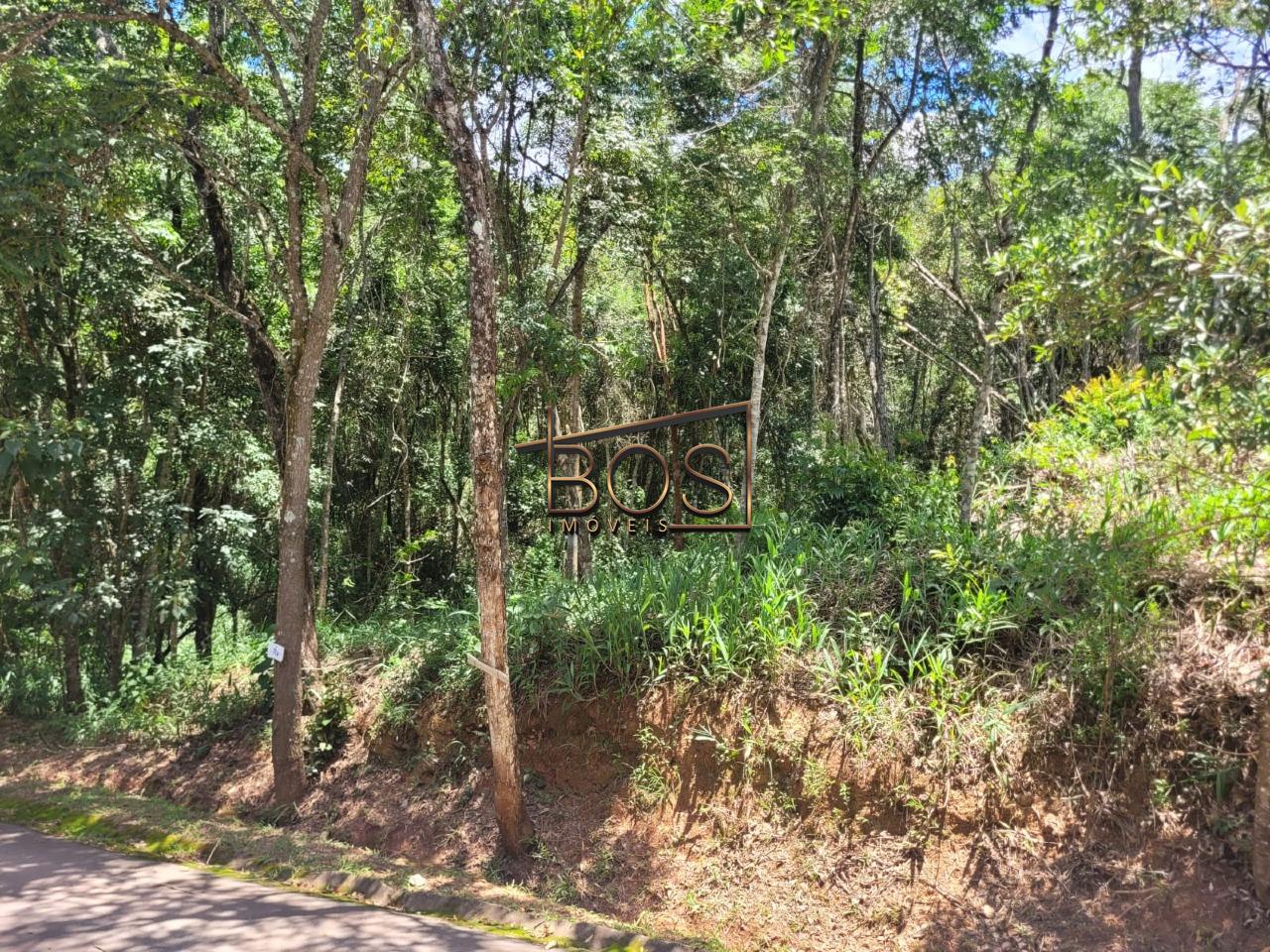 Terreno, 2000 m² - Foto 5