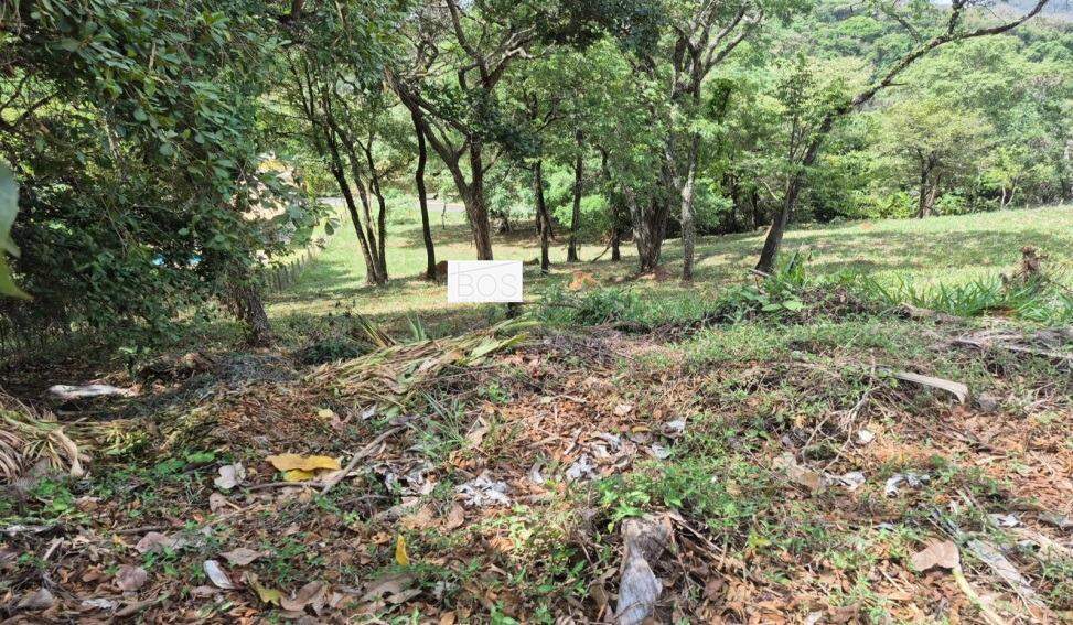Terreno, 1000 m² - Foto 2
