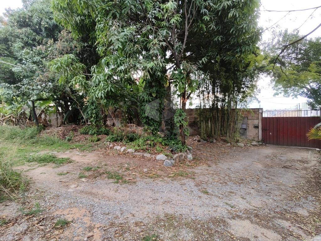 Lote à venda no Santa Amélia: 